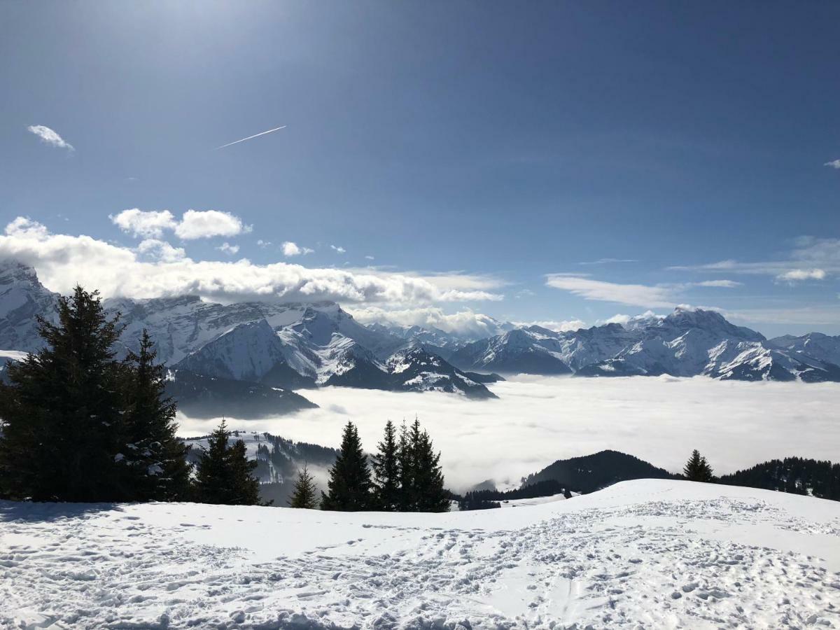 Chalet Rouge Coeur Bex ภายนอก รูปภาพ